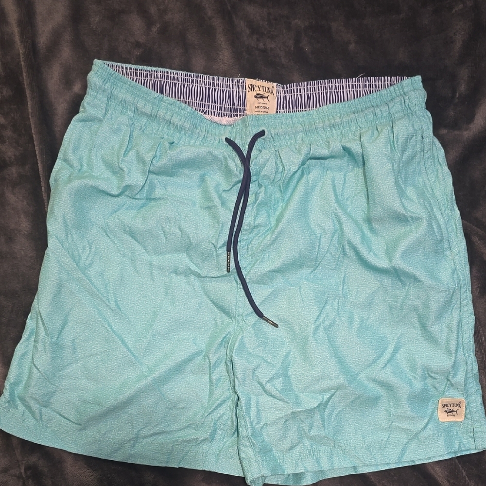 Swim Trunks in Aqua Blue